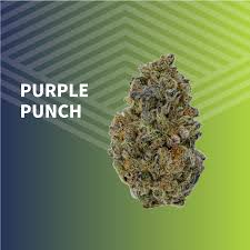 Photograph of product: Purple Punch Whole Flower - 7g