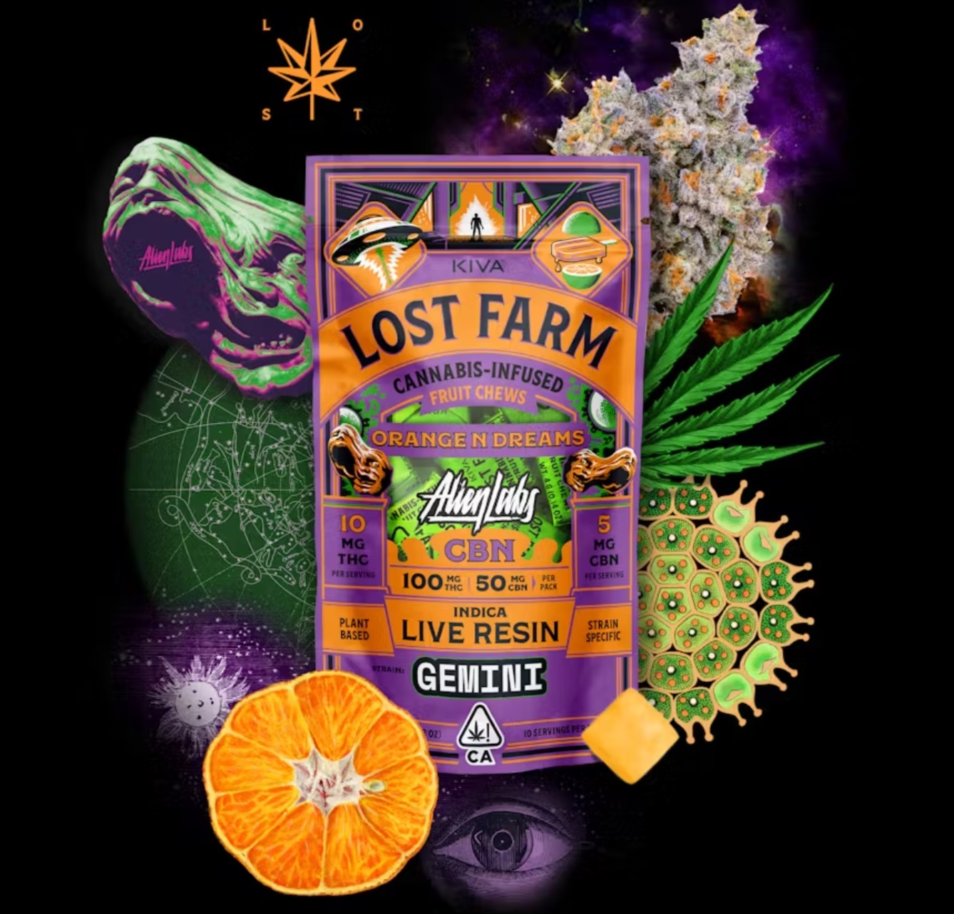 Photograph of product: Lost Farm Orange N Dreams x Gemini CBN 10:5 Chews