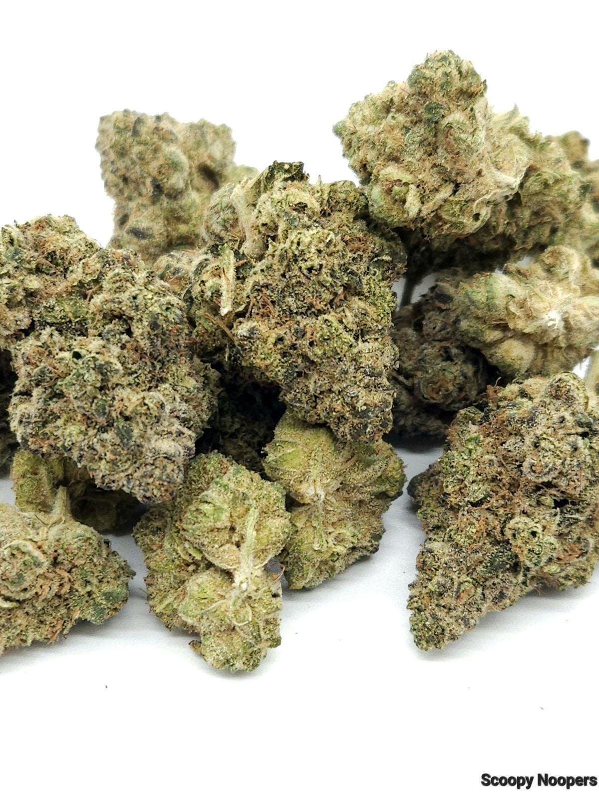 Photograph of product: Scroopy Noopers- BULK