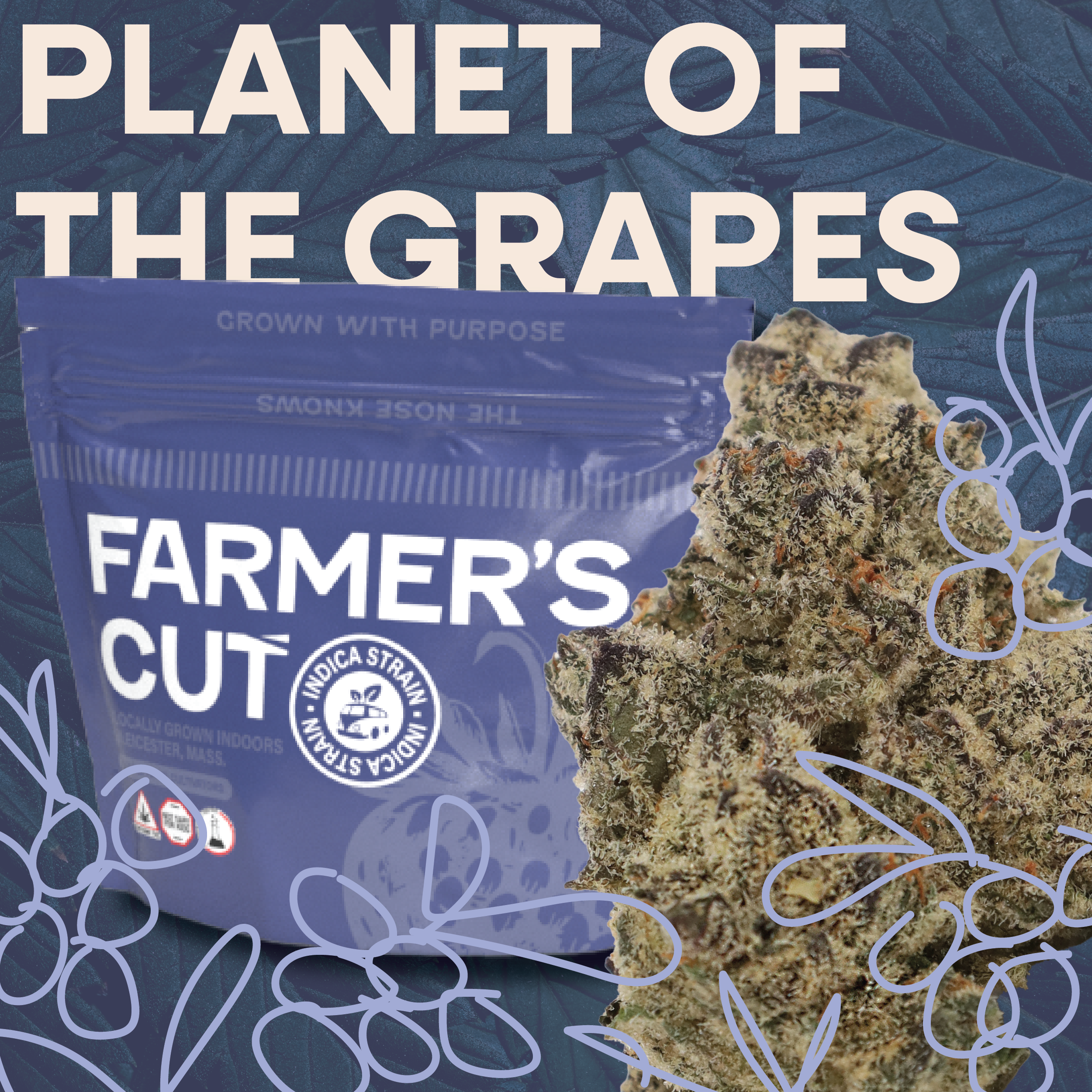 Photograph of product: Farmer's Cut | Planet Of The Grapes | Flower - 3.5g