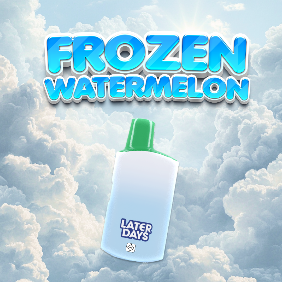 Photograph of product: Later Days Frozen Watermelon | 1g Disposable