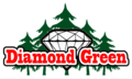thumbnail-Size Logo for storeLogo: Diamond Green Tacoma