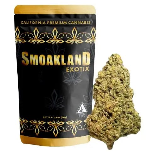 Photograph of product: Candyland | 14g - 