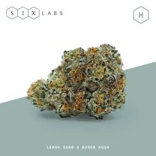 Photograph of product: Six Labs | Log Cabin OG | Bulk Flower - 28g