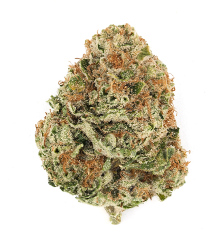 Photograph of product: Motor Milk | Redbud Roots - 28g