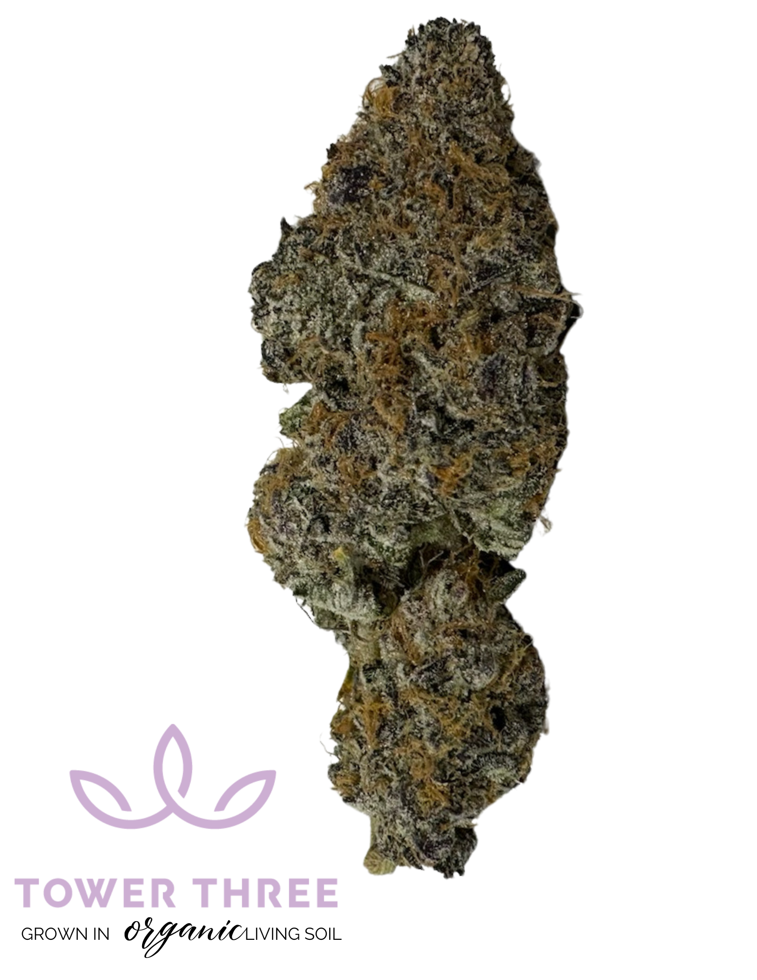 Photograph of product: Cold Snap 3.5g