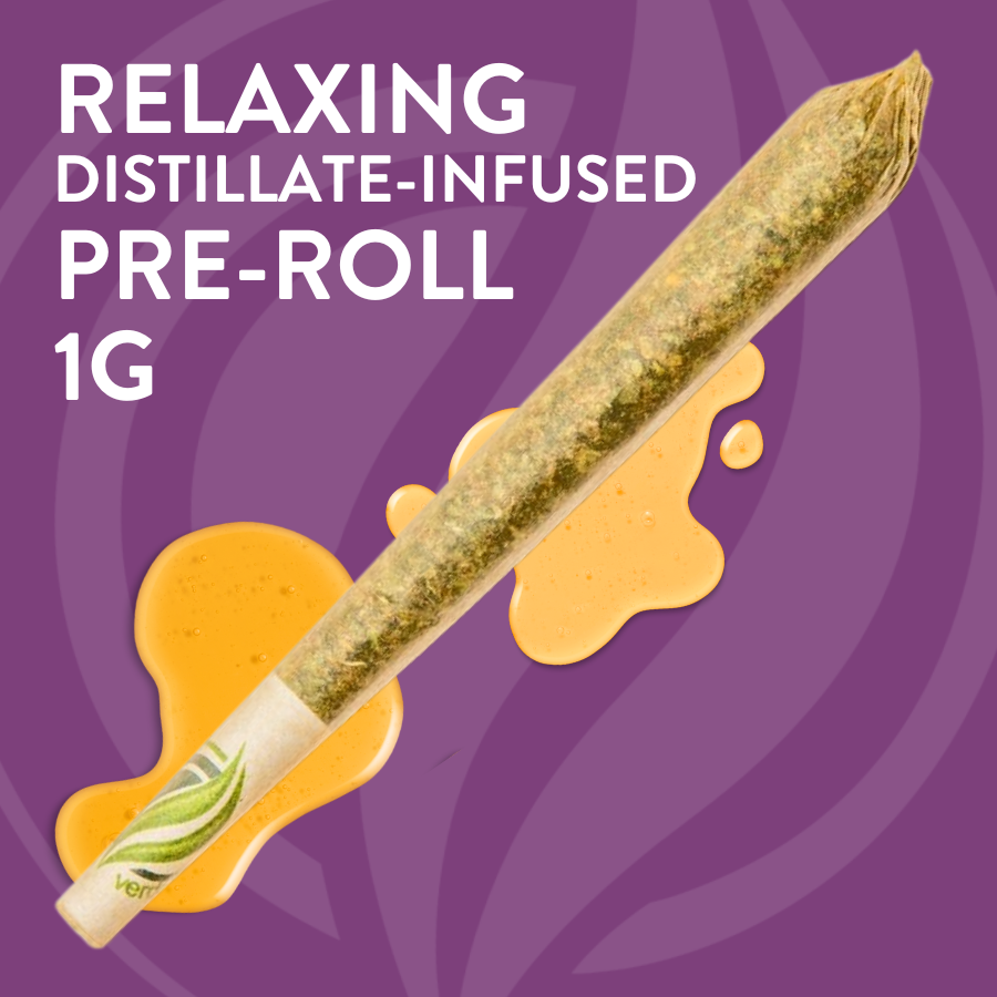 Photograph of product: Shatter Infused Pre Roll - June Plum - 1g