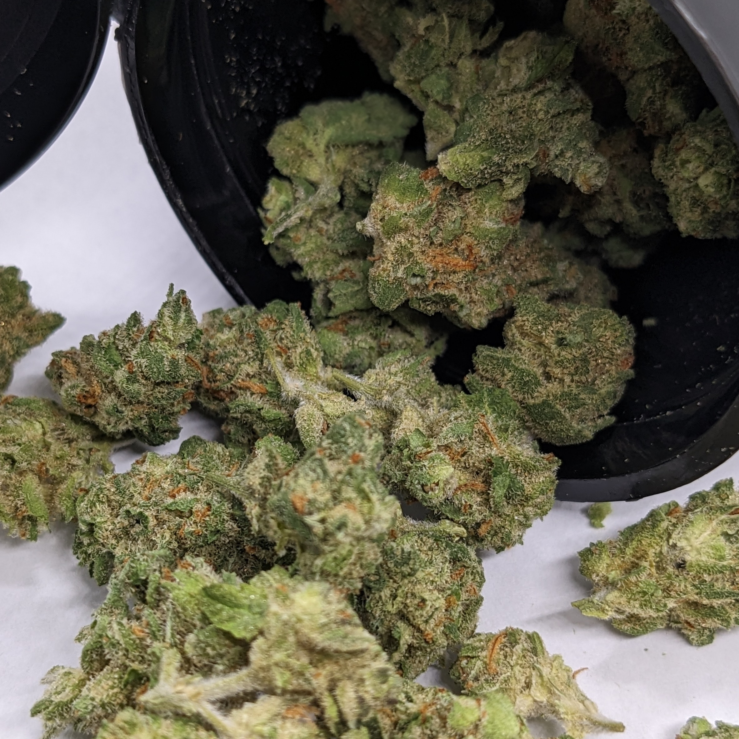 Photograph of product: Jack Herer | 1/2oz - 14g