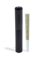 Photograph of product: World Star - Pre-Roll - Theory Wellness
