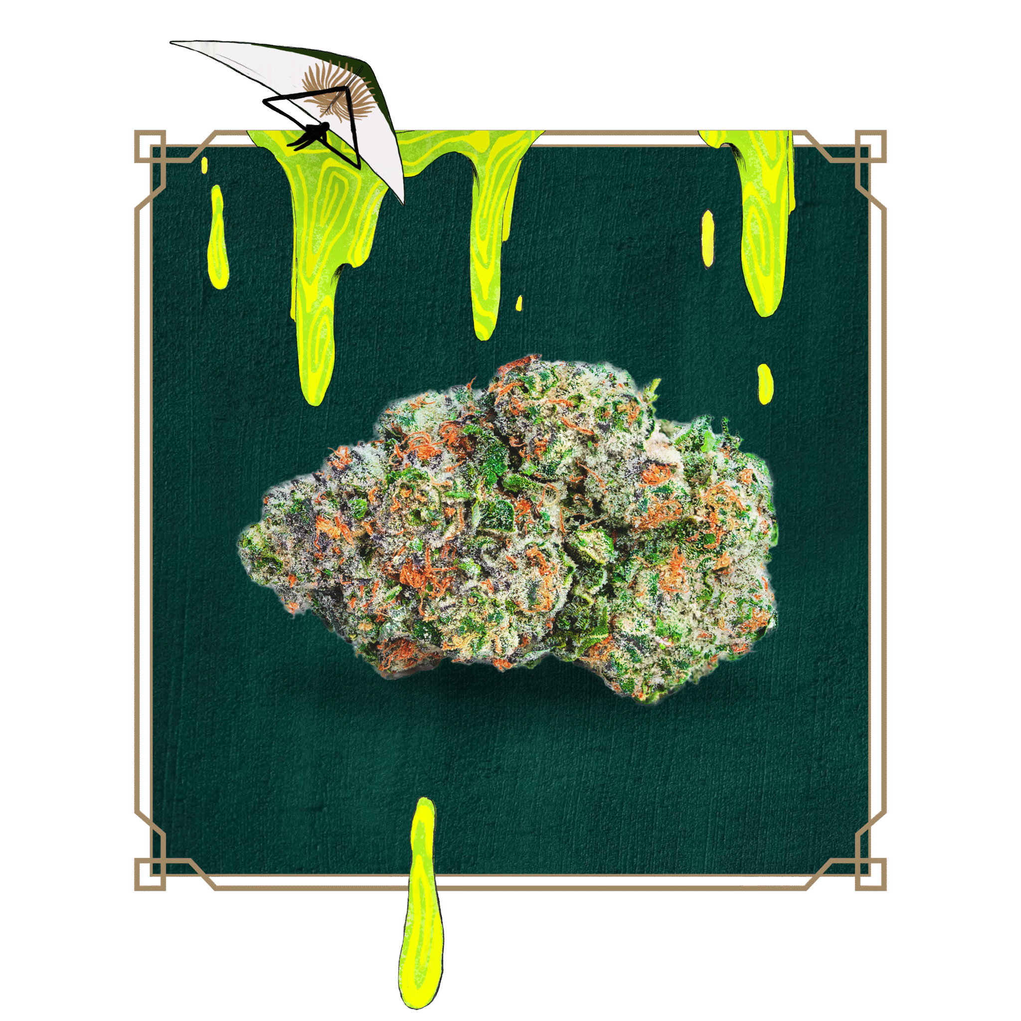 Photograph of product: Peak: Flower | Sour G | 3.5g