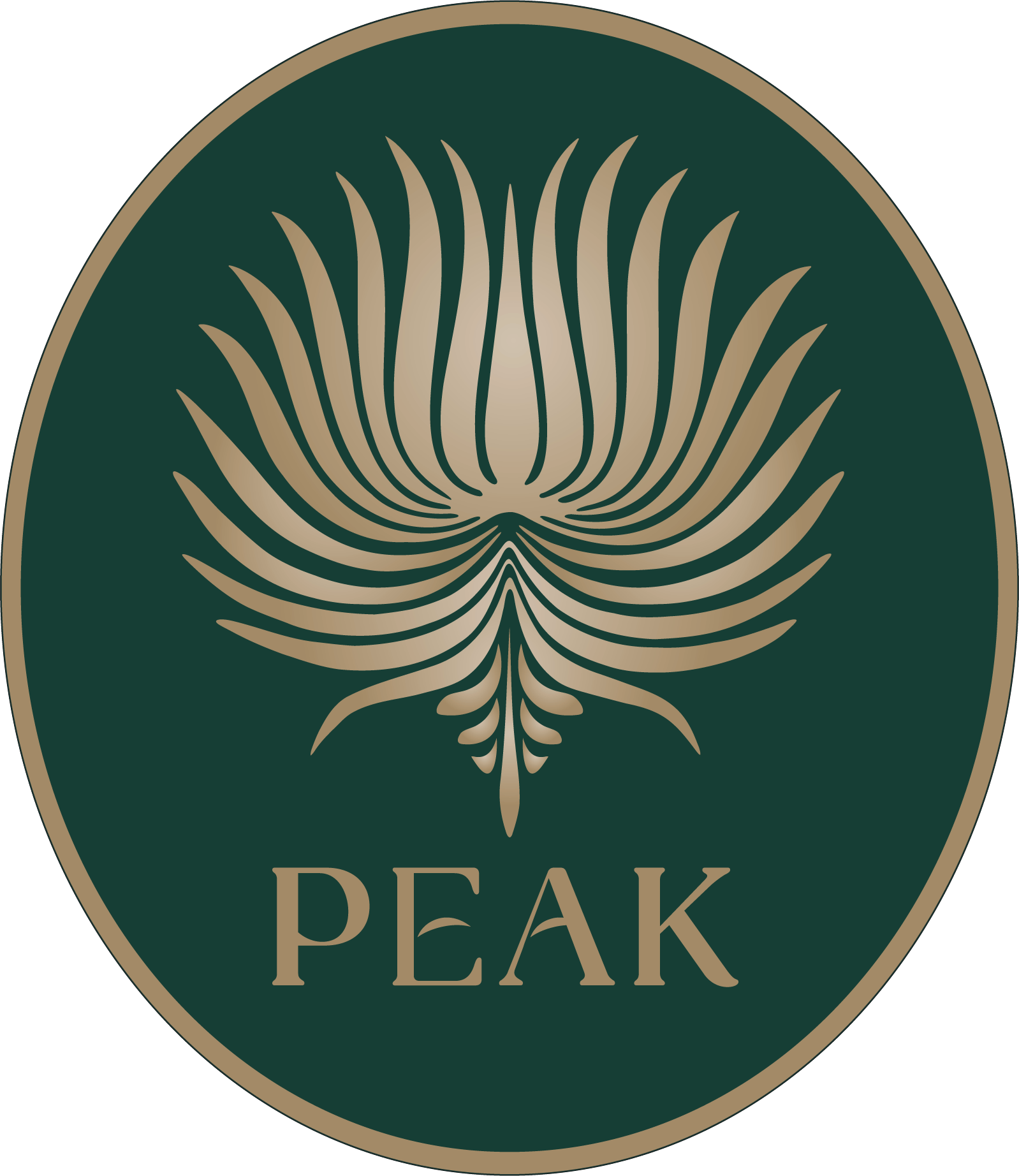 Logo for img-fluid: Peak