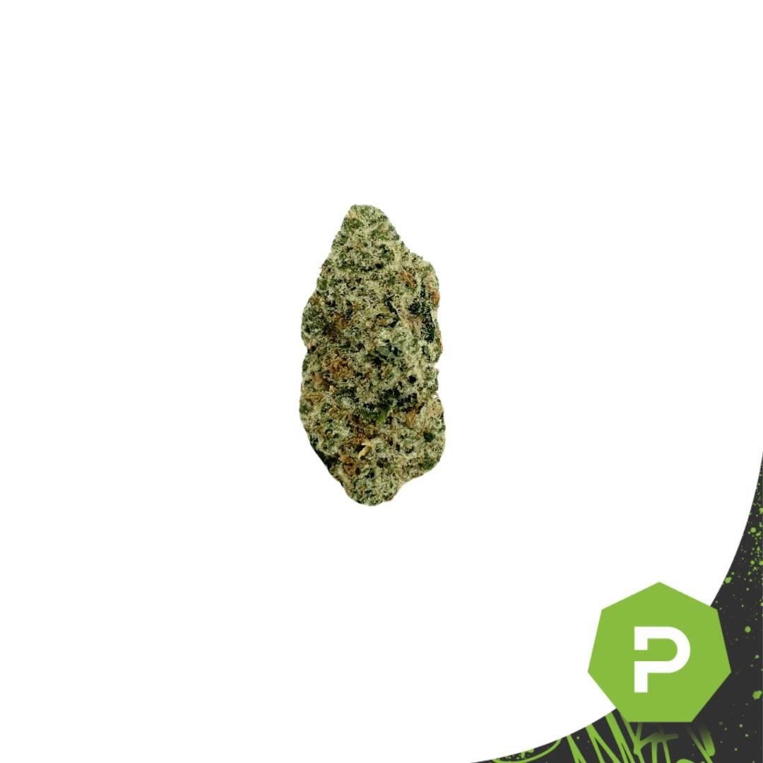 Photograph of product: Ghostbudster Farms | Red Runtz - 28g