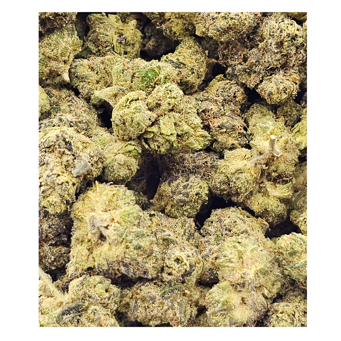 Photograph of product: Gas Tier - Bulk Boys - Cherry Popperz Bulk Bud - 28g