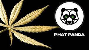 Photograph of product: Gelato Pre-Roll | 1g