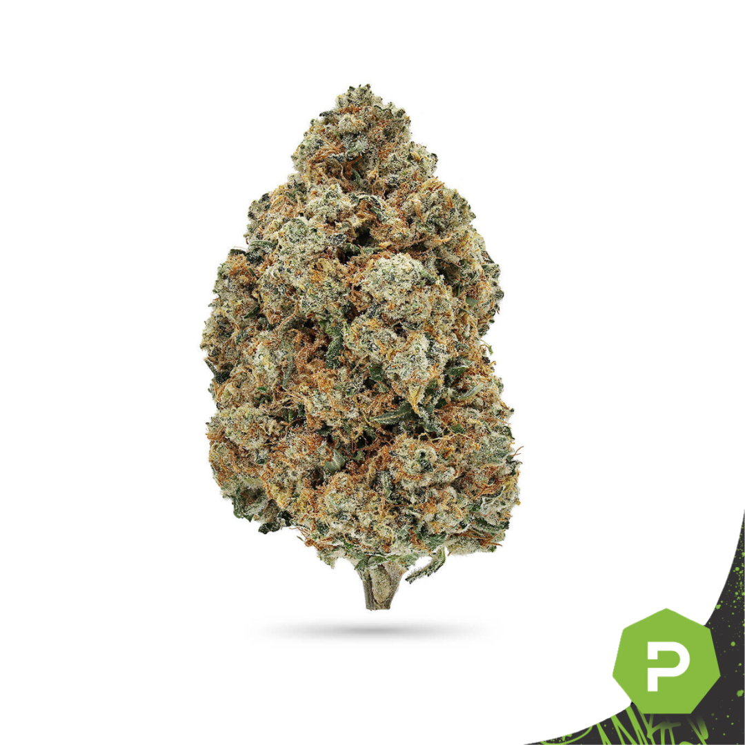 Photograph of product: BHL Enterprises | Sour Garlic Cookies - 28g