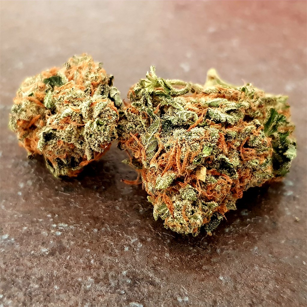 Photograph of product: Flower | Stardawg Pie - 3.5g