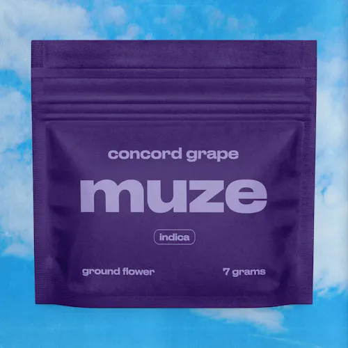 Photograph of product: Concord Grape | Pre-Ground | 7g