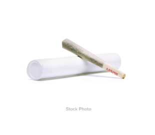 Photograph of product: Wheelhouse - Tropicana Banana x Ghost Train Haze - Infused Pre-Roll - 1g