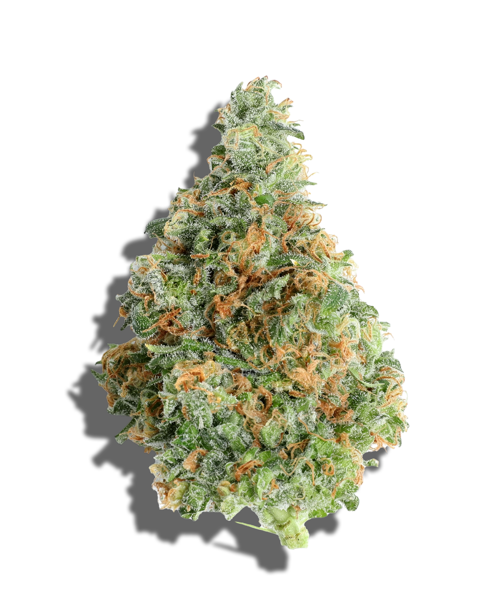 Photograph of product: BOBBY WILD 1OZ - 28g