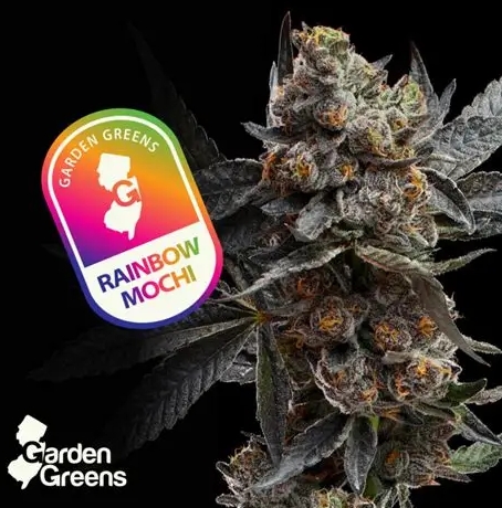 Photograph of product: Rainbow Mochi | 7g