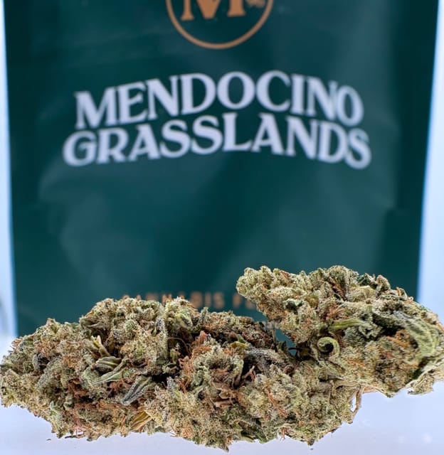 Photograph of product: Mango Mintality 14g - 