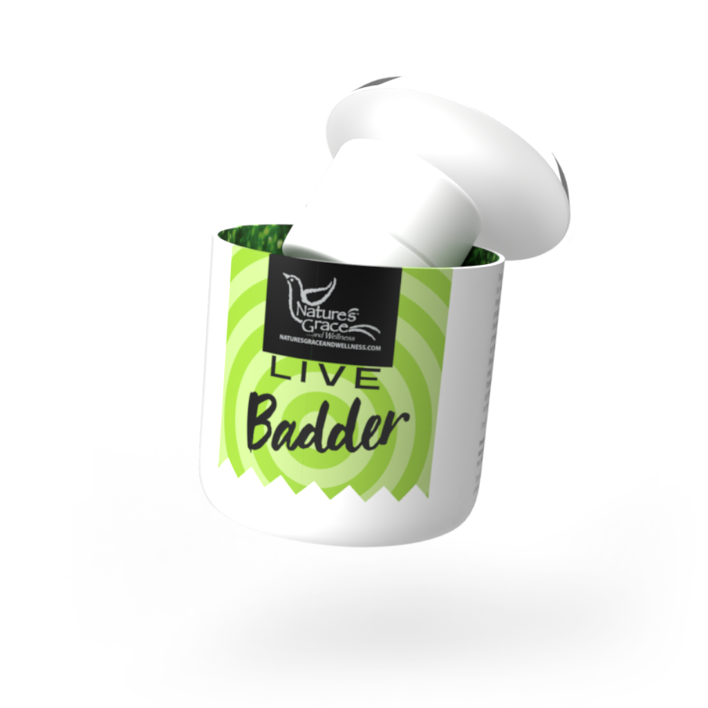 Photograph of product: Skywalker | 1g | Live Badder | Nature's Grace