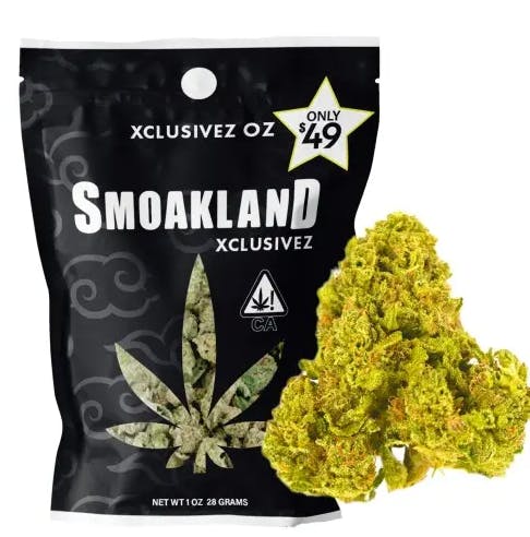 Photograph of product: Hyphy Haze | 28g - 