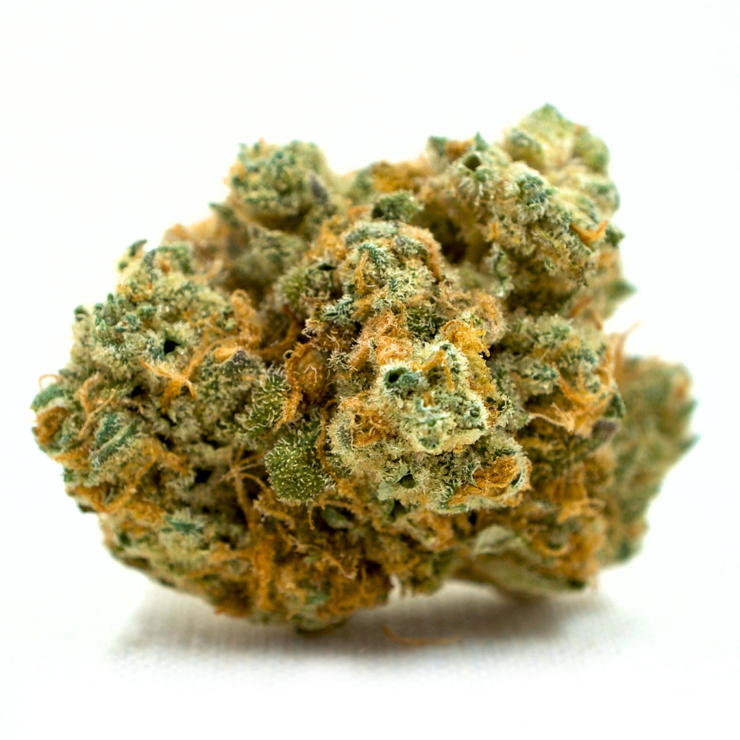 Photograph of product: Night Terror OG | TAC: 31.4% ( Package) - 28g
