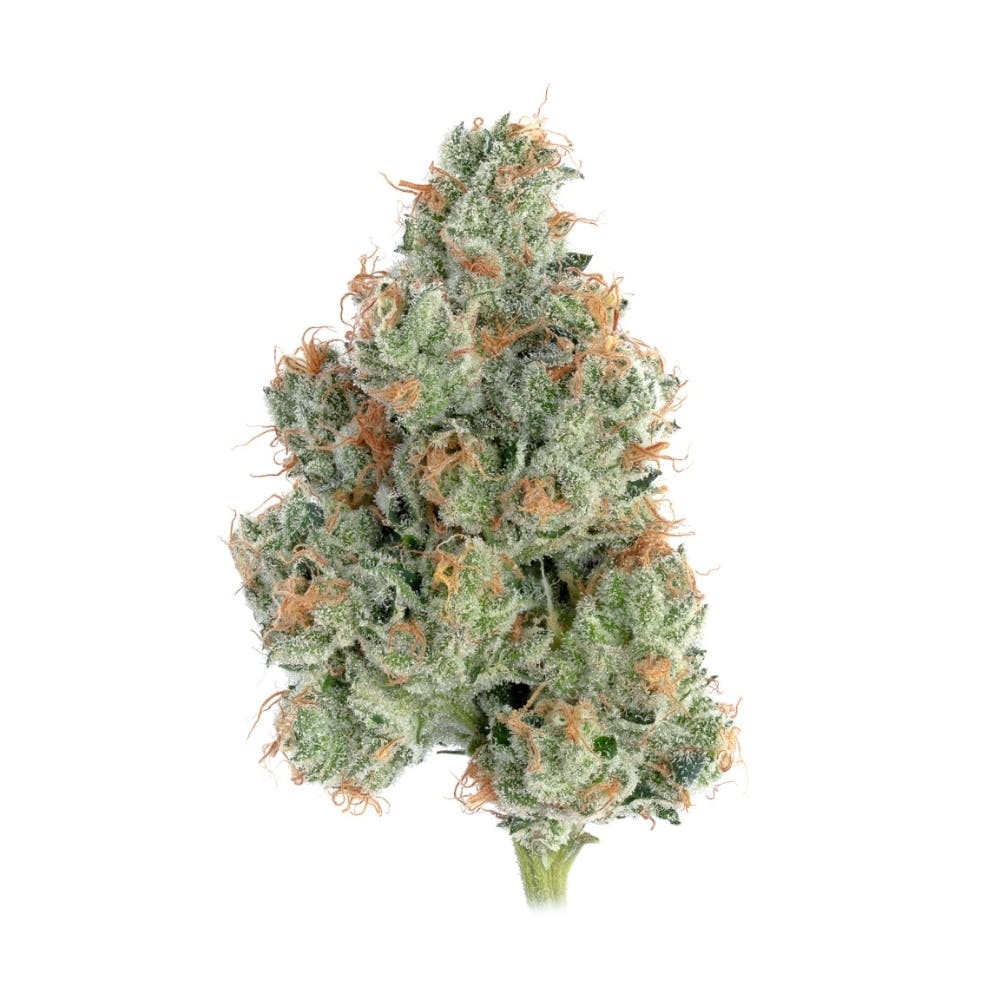 Photograph of product: Happy Valley | Sugar Shack #5 | 3.5g