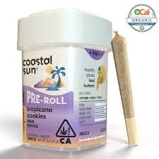 Photograph of product: Tropicana Cookies | 7g | 0.5g x 14 Preroll Pack - 