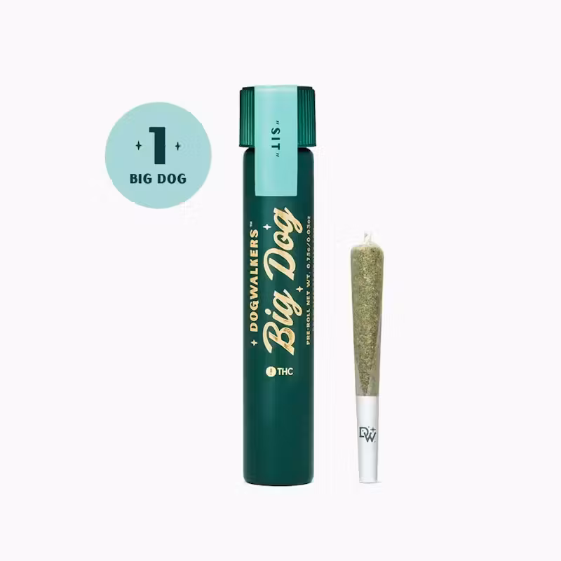 Photograph of Product: Dogwalkers | Brownie Scout Big Dog (Sit) Pre-roll, .75g