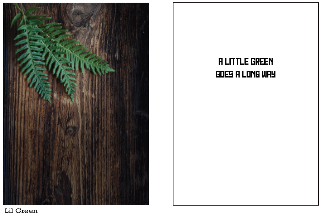 Photograph of product: Highmark-A little Green