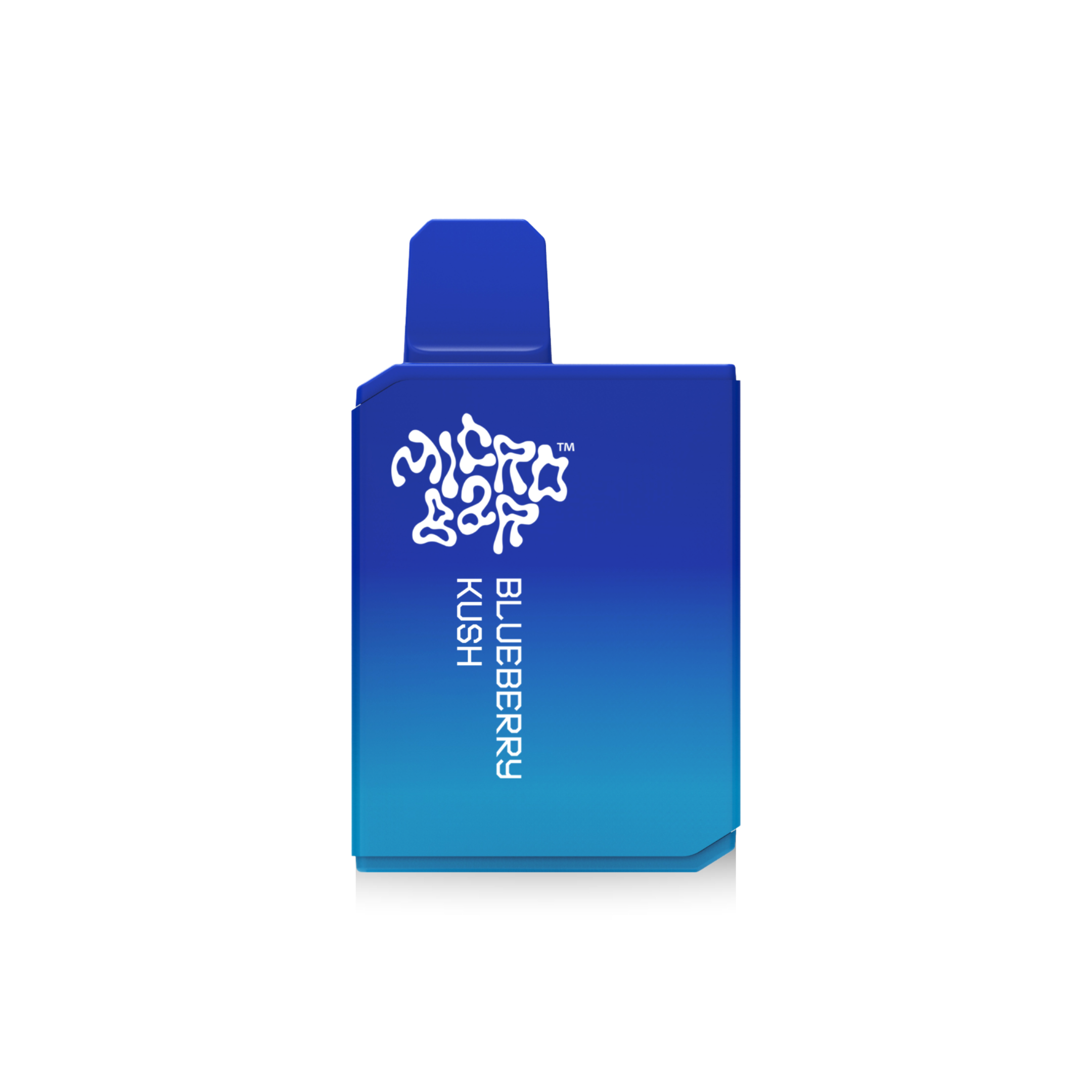 Photograph of product: Blueberry Kush | Disposable Vape | 1g