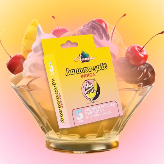 Photograph of product: Amnesia 0.7G Infused Pre Roll x Multi Pack Banana Split