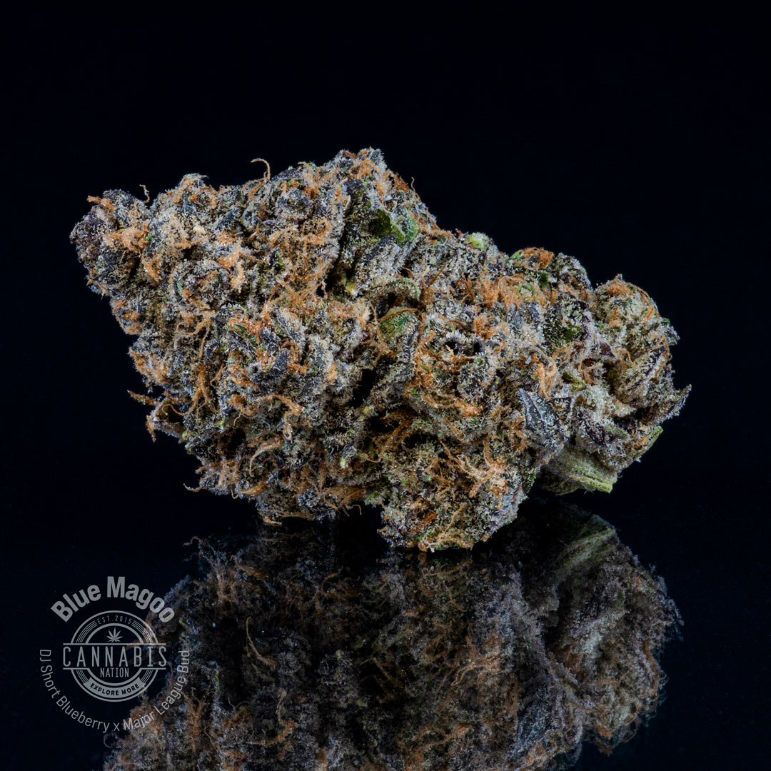 Photograph of product: Flower | Blue Magoo - 28g