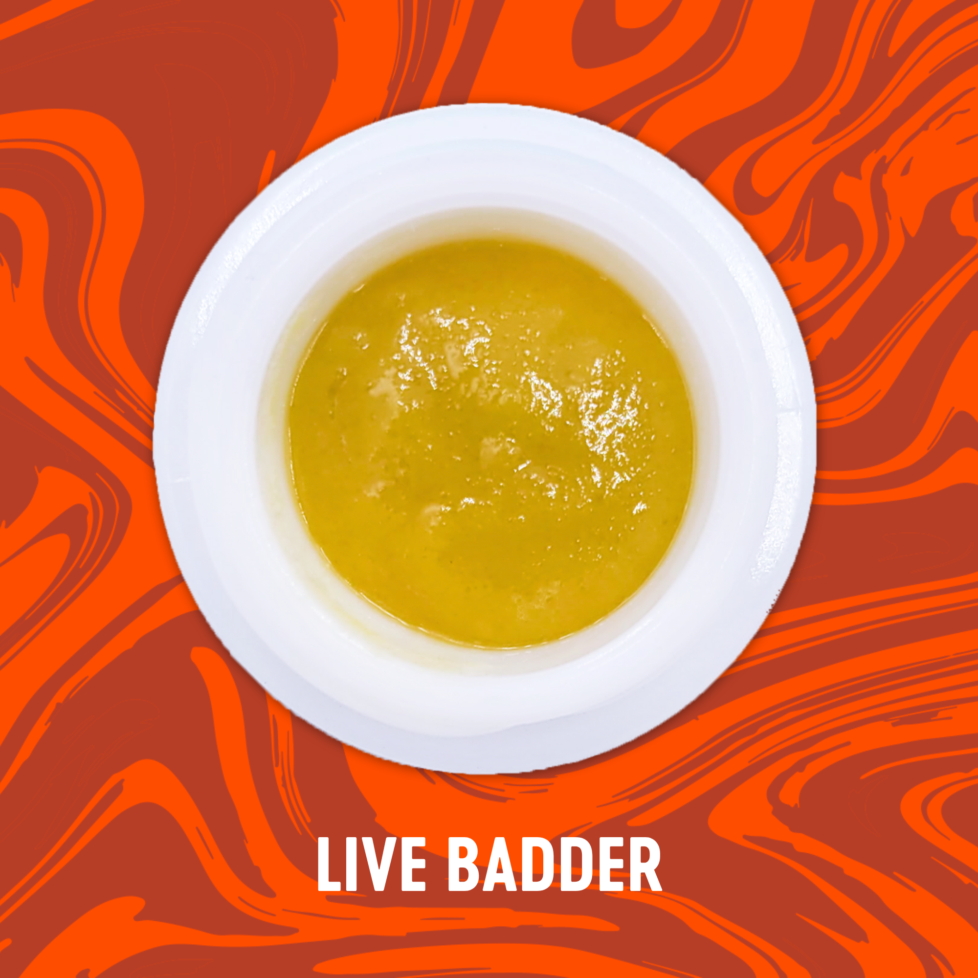 Photograph of product: Vivid - Maple Nectar - Live Badder
