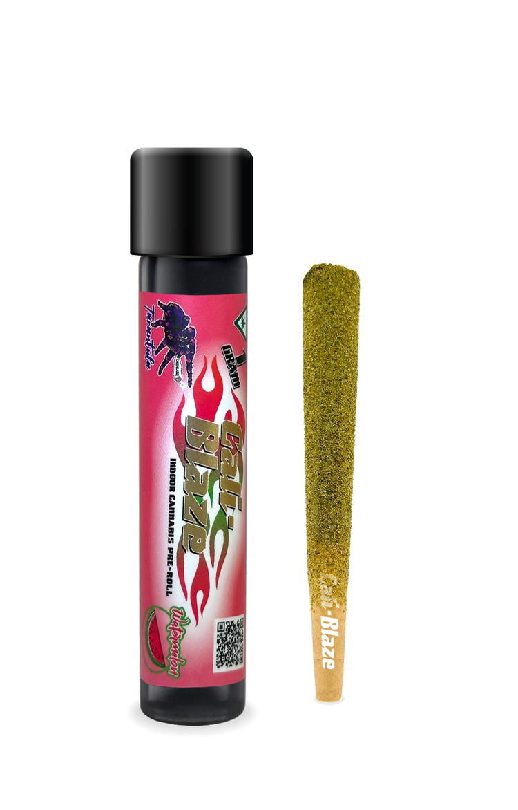 Photograph of product: Tarantula | Watermelon | Infused Pre Roll