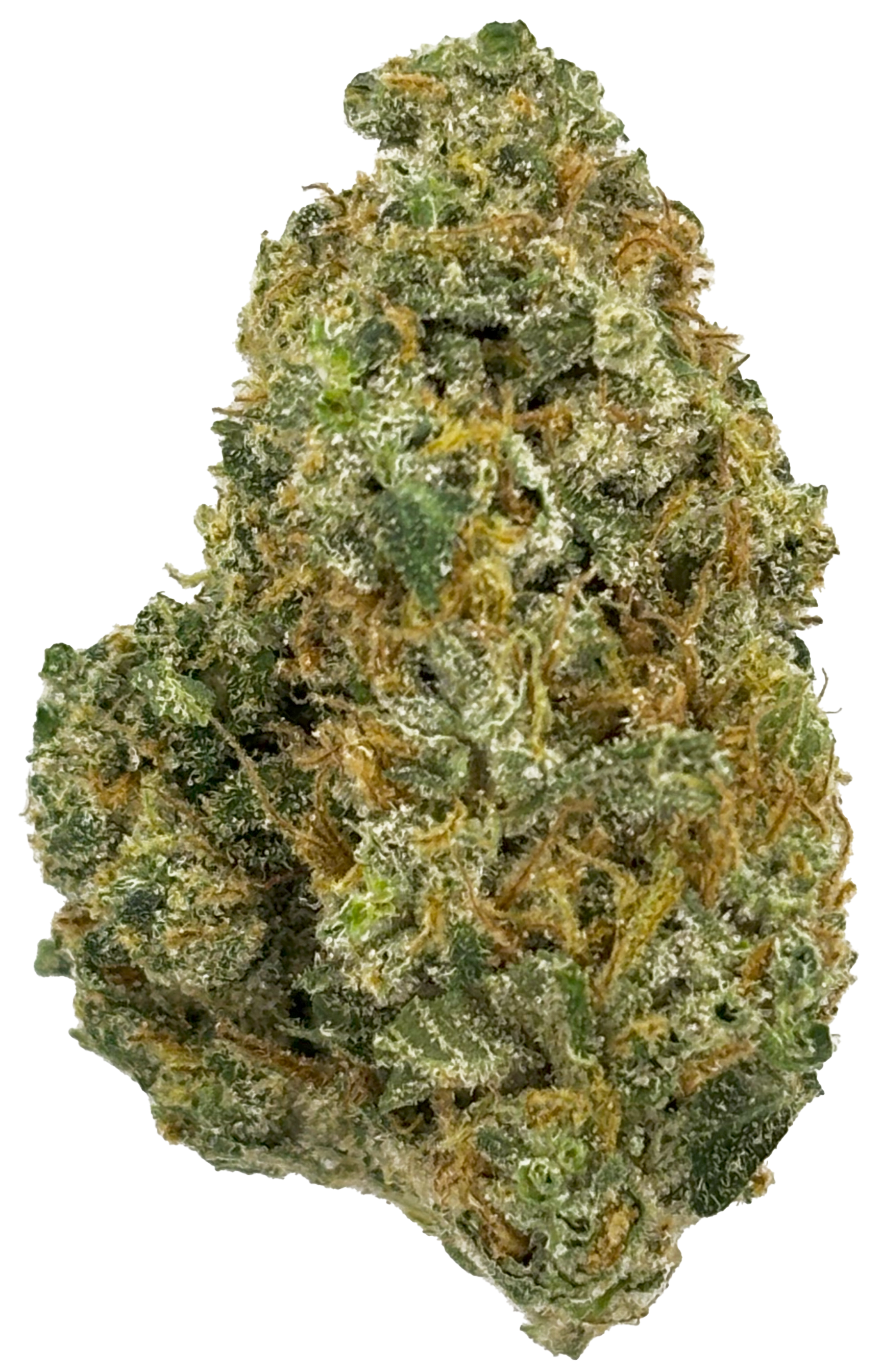 Photograph of product: Common Citizen | G13 | Deli Flower - 1g