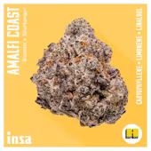 Photograph of product: Insa | Amalfi Coast | 3.5g