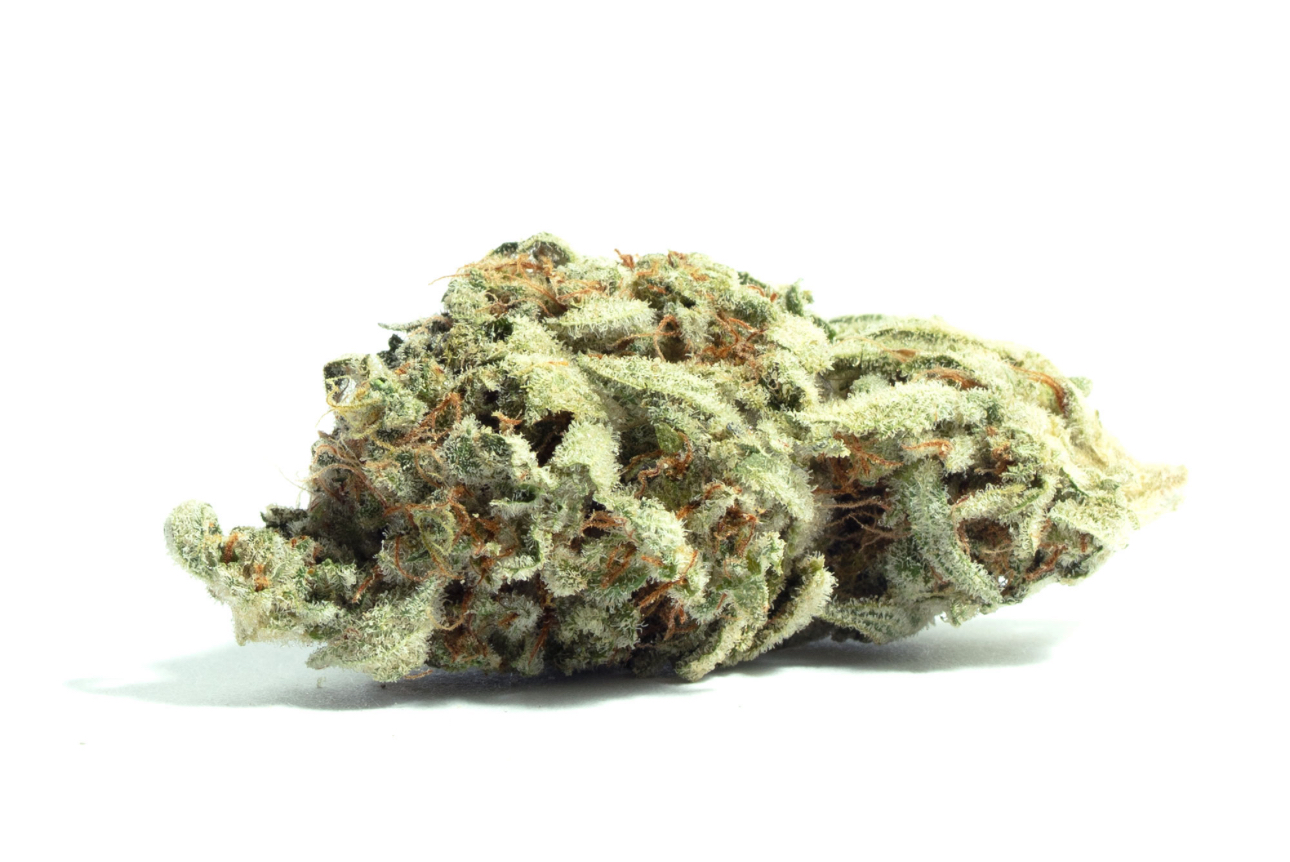 Photograph of product: Pruf Cultivar Dirty Shirley - 7g