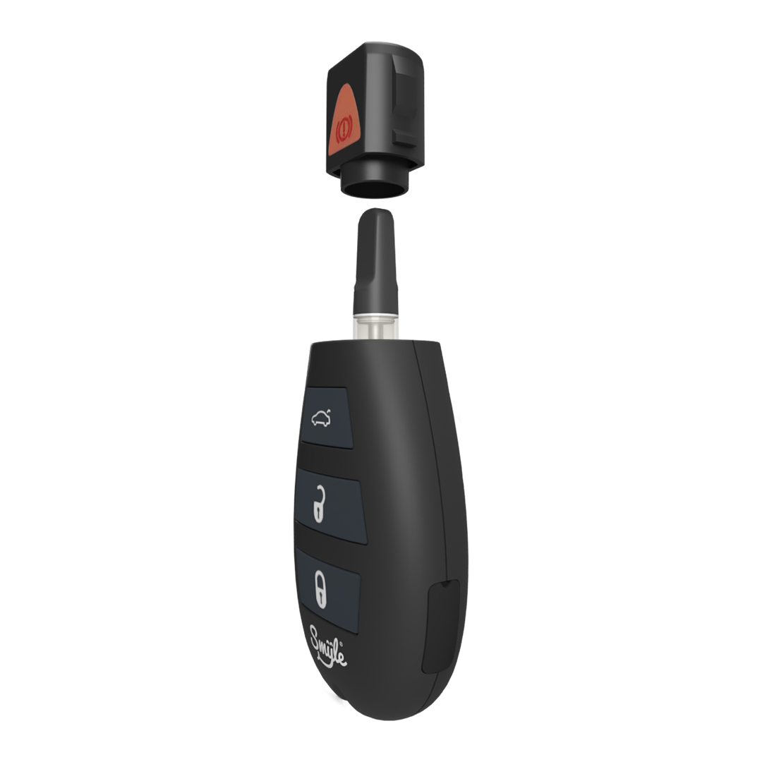 Photograph of product: Penjamin Car Key
