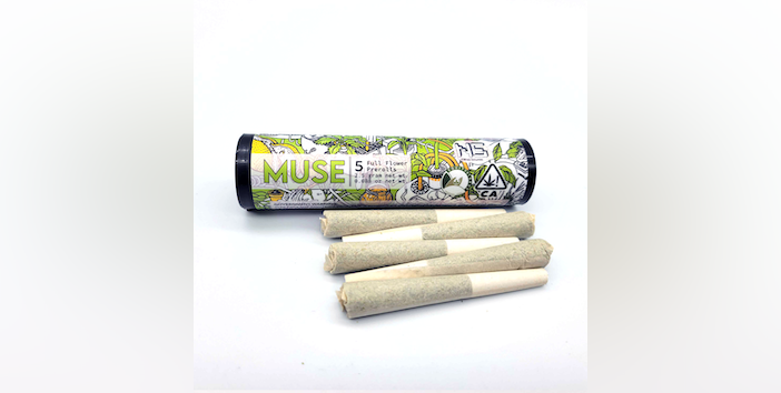 Photograph of product: 5PK - MUSE - SUNDAY RUNTZ