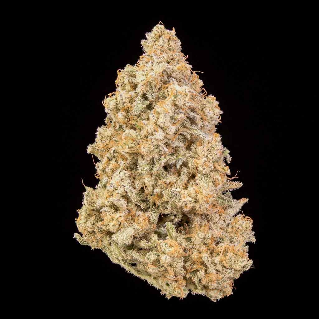 Photograph of product: Mac & Cheese - 3.5g