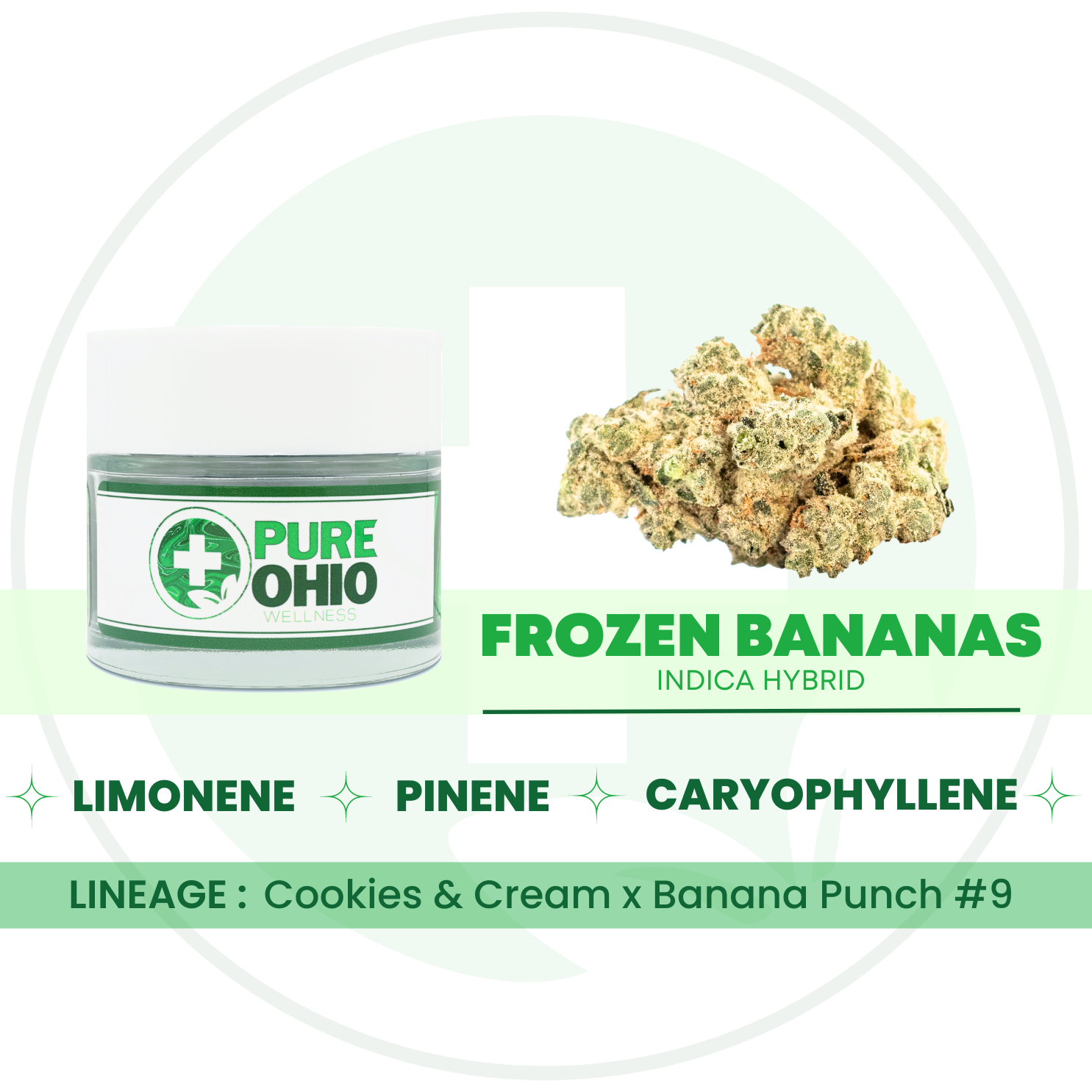 Photograph of Product: Frozen Bananas | 2.83g