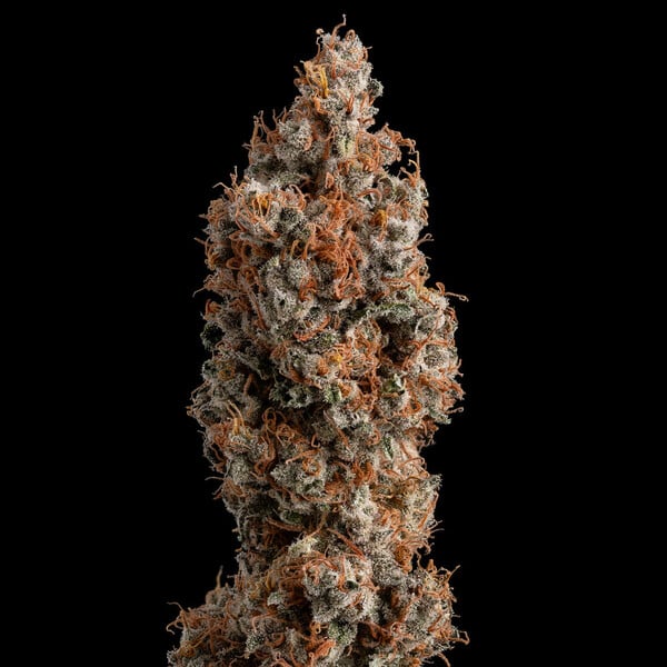 Photograph of product: Trainwreck - 3.5g