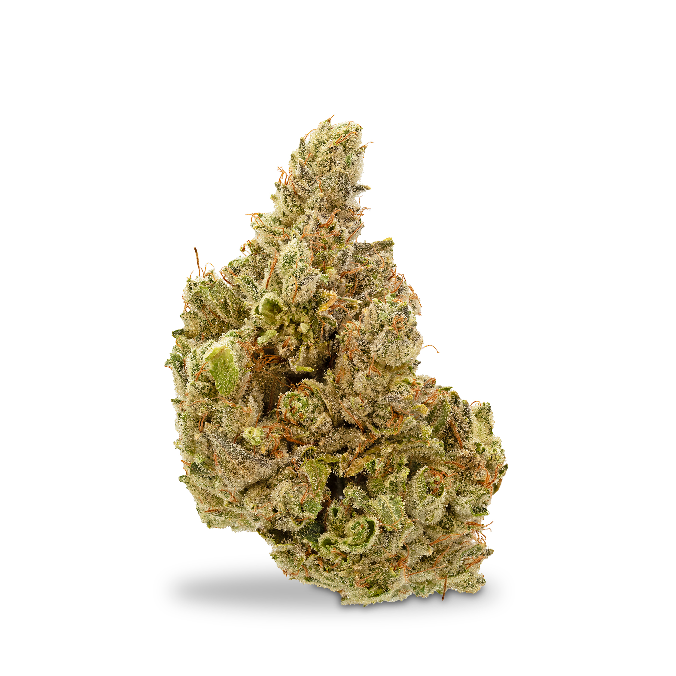 Photograph of product: Urban Canna - GG#4 - 1g