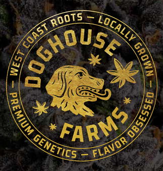 Photograph of product: Doghouse Supreme Oui'd - Jack Herer - 28g