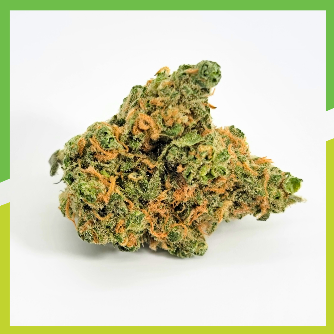 Photograph of product: Jokerz #17 | Focus - 3.5g