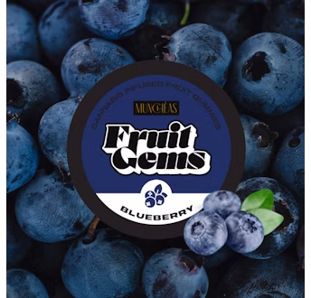 Photograph of product: Munchas Blueberry Fruit Gems