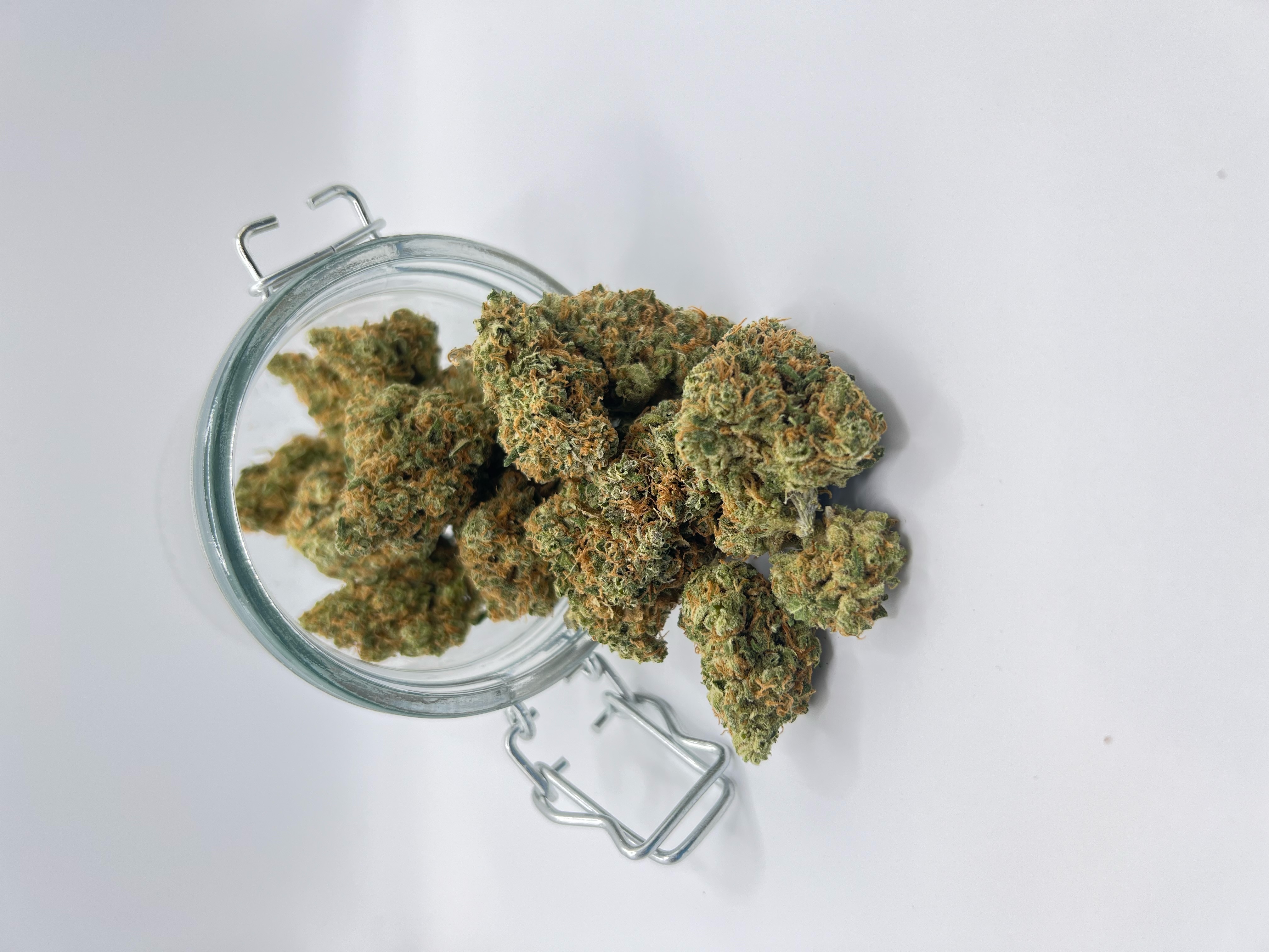 Photograph of product: Headband - 1g